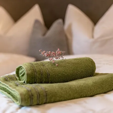 Ramsauerin Apartman *